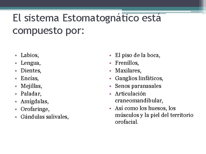 El sistema Estomatognático está compuesto por: • • • Labios, Lengua, Dientes, Encías, Mejillas,