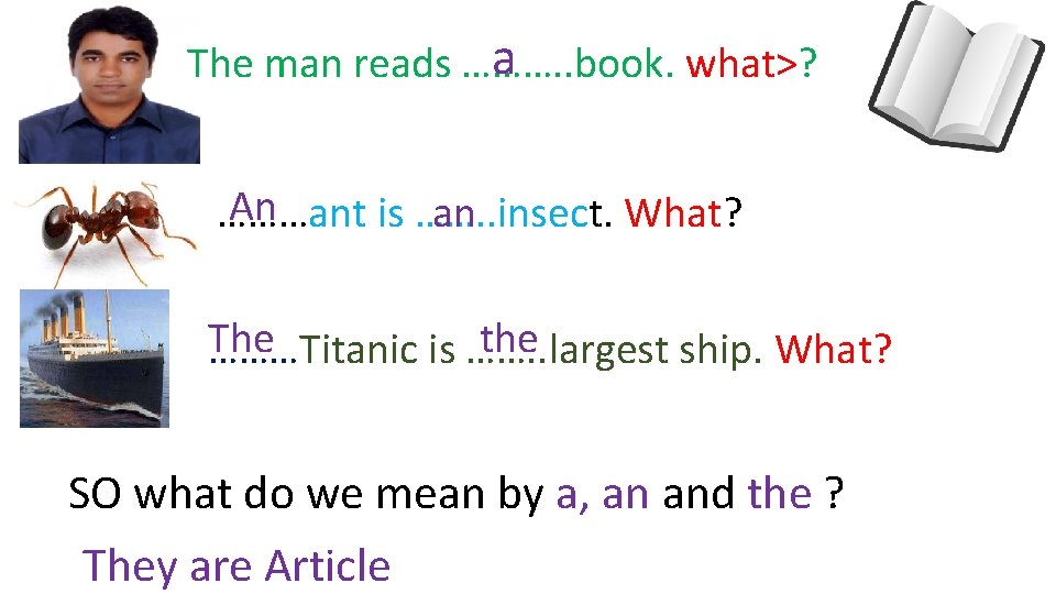 a The man reads ………. . book. what>? An ………ant is ……. . insect.