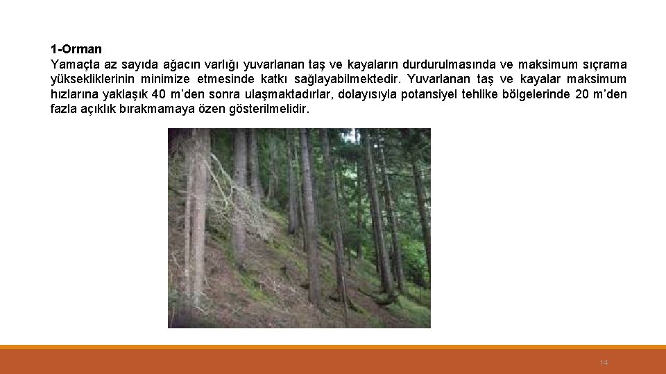 1 -Orman Yamaçta az sayıda ağacın varlığı yuvarlanan taş ve kayaların durdurulmasında ve maksimum