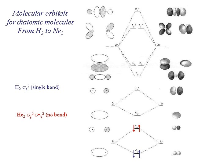 Molecular orbitals for diatomic molecules From H 2 to Ne 2 H 2 sg Molecular orbitals for diatomic molecules From H 2 to Ne 2 H 2 sg