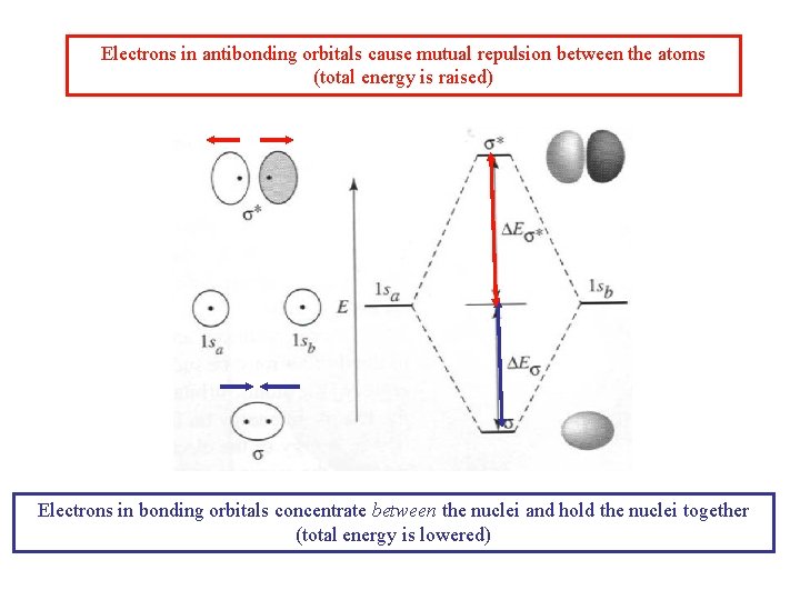 Electrons in antibonding orbitals cause mutual repulsion between the atoms (total energy is raised) Electrons in antibonding orbitals cause mutual repulsion between the atoms (total energy is raised)