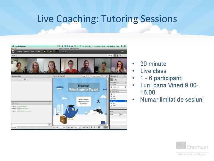 Live Coaching: Tutoring Sessions • • 30 minute Live class 1 - 6 participanti