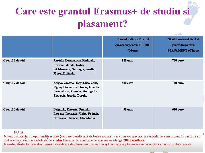 Care este grantul Erasmus+ de studiu si plasament? Nivelul national fixat al grantului pentru