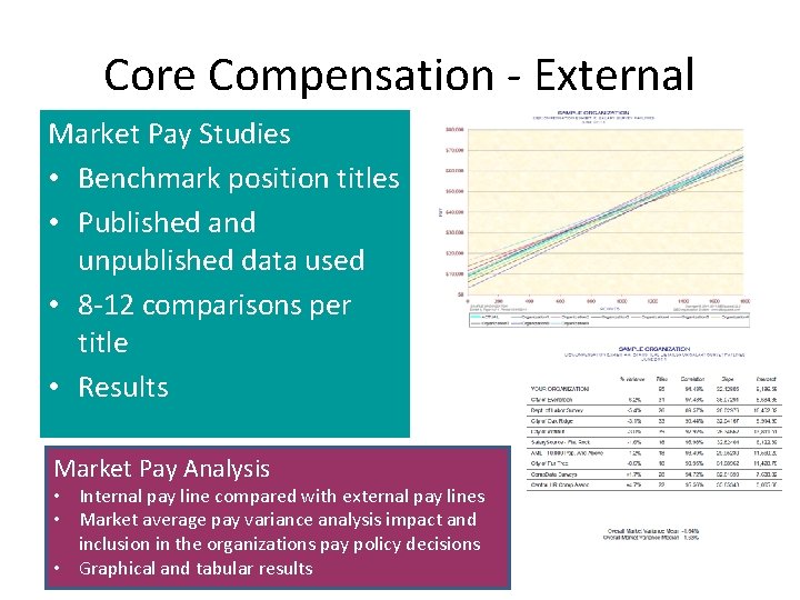 Core Compensation - External Market Pay Studies • Benchmark position titles • Published and