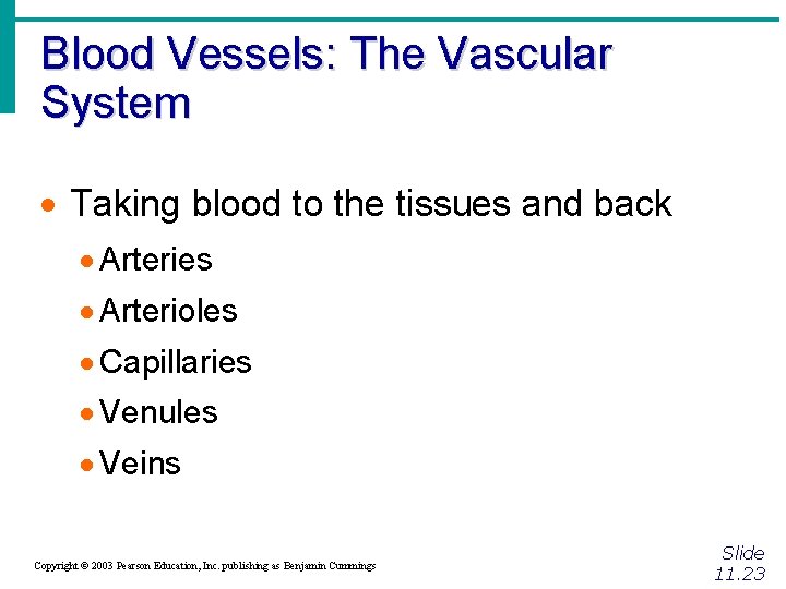 Blood Vessels: The Vascular System · Taking blood to the tissues and back ·