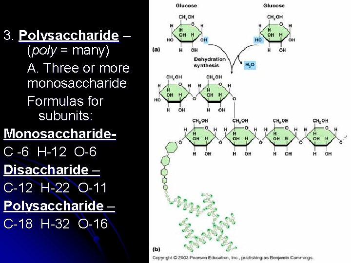 3. Polysaccharide – (poly = many) A. Three or more monosaccharide Formulas for subunits: