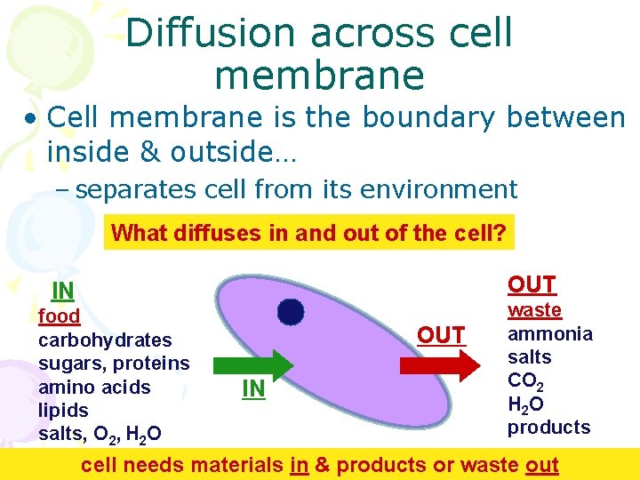 Diffusion across cell membrane • Cell membrane is the boundary between inside & outside…