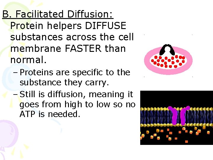 B. Facilitated Diffusion: Protein helpers DIFFUSE substances across the cell membrane FASTER than normal.