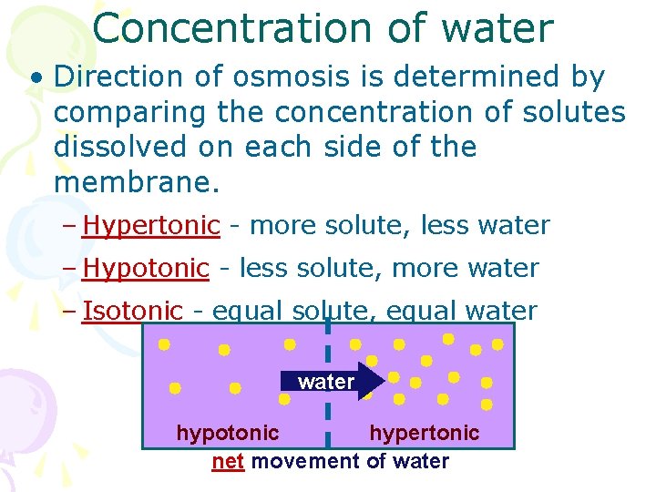 Concentration of water • Direction of osmosis is determined by comparing the concentration of