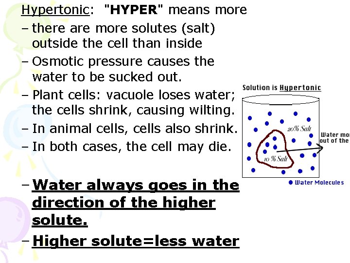 Hypertonic: "HYPER" means more – there are more solutes (salt) outside the cell than