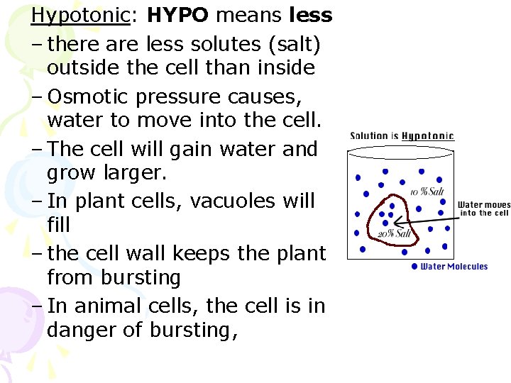 Hypotonic: HYPO means less – there are less solutes (salt) outside the cell than