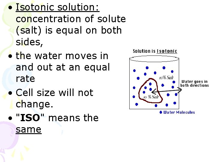  • Isotonic solution: concentration of solute (salt) is equal on both sides, •