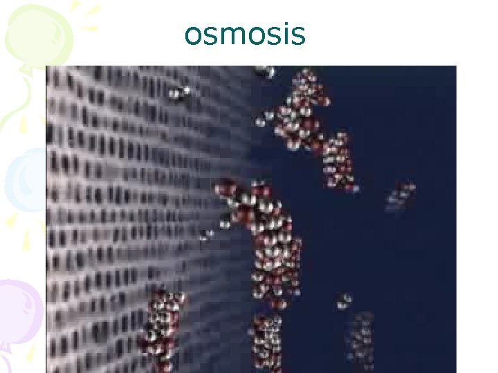 osmosis 
