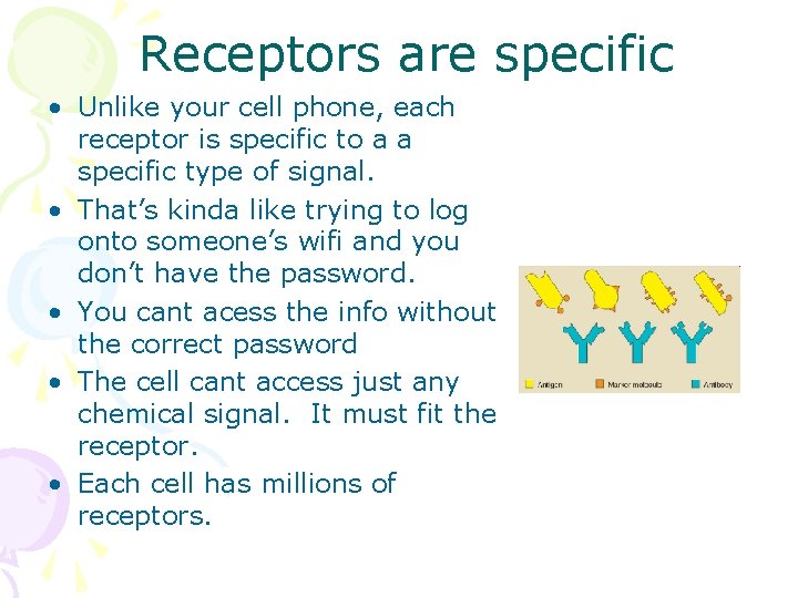 Receptors are specific • Unlike your cell phone, each receptor is specific to a