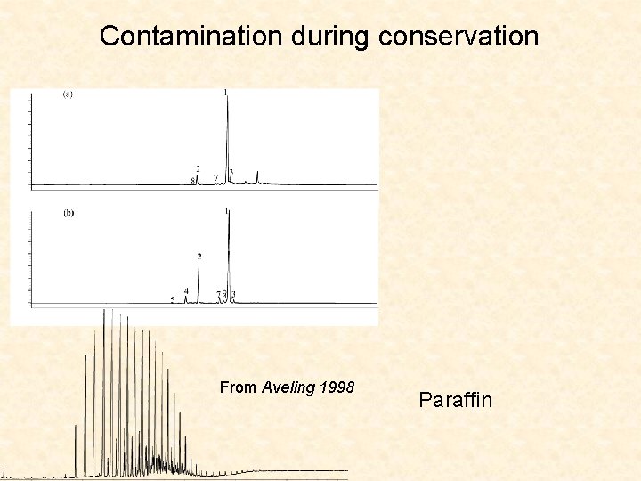 Contamination during conservation From Aveling 1998 Paraffin 