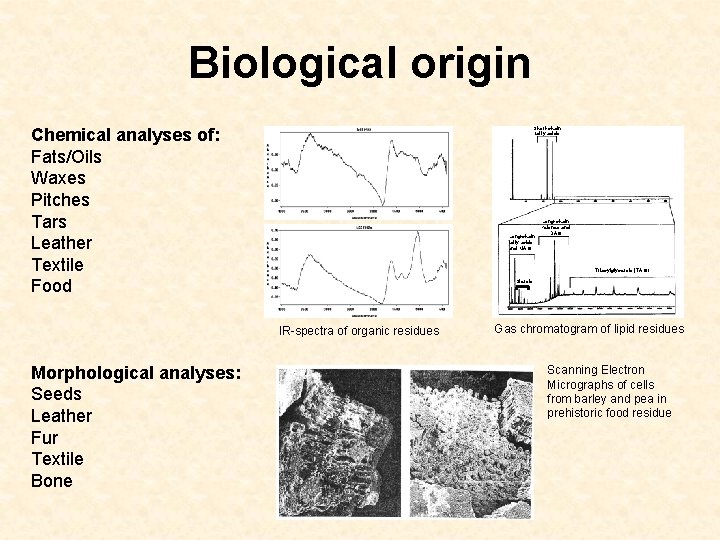 Biological origin Chemical analyses of: Fats/Oils Waxes Pitches Tars Leather Textile Food Short-chain fatty