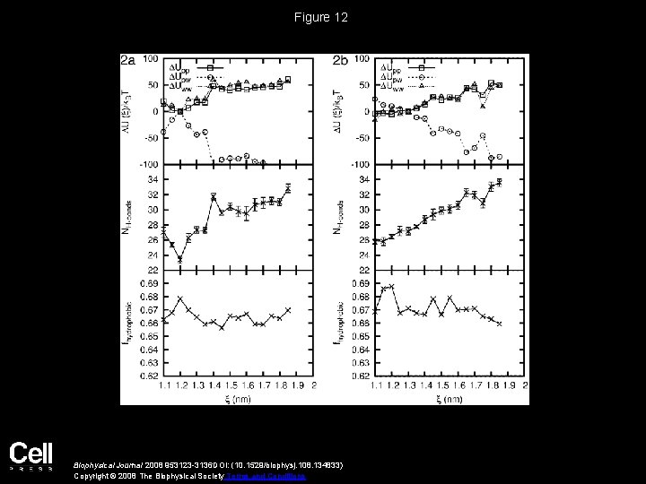Figure 12 Biophysical Journal 2008 953123 -3136 DOI: (10. 1529/biophysj. 108. 134833) Copyright ©