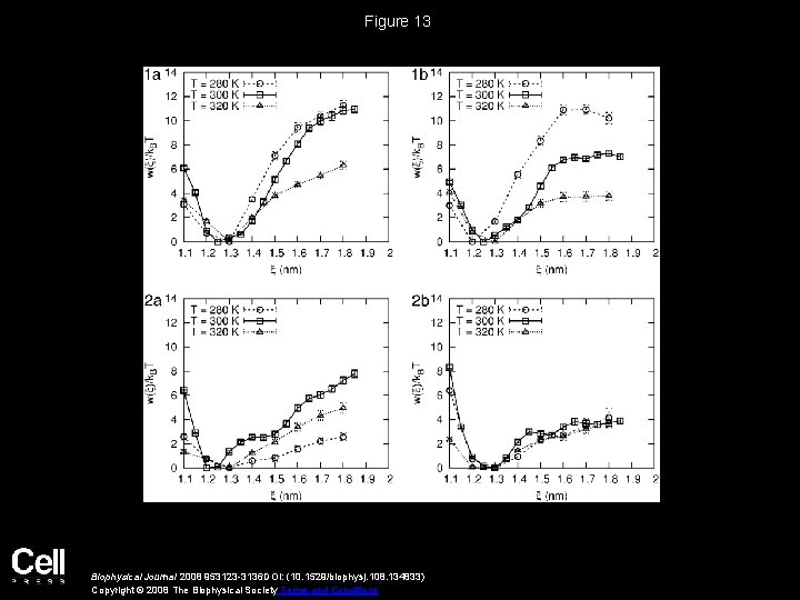 Figure 13 Biophysical Journal 2008 953123 -3136 DOI: (10. 1529/biophysj. 108. 134833) Copyright ©
