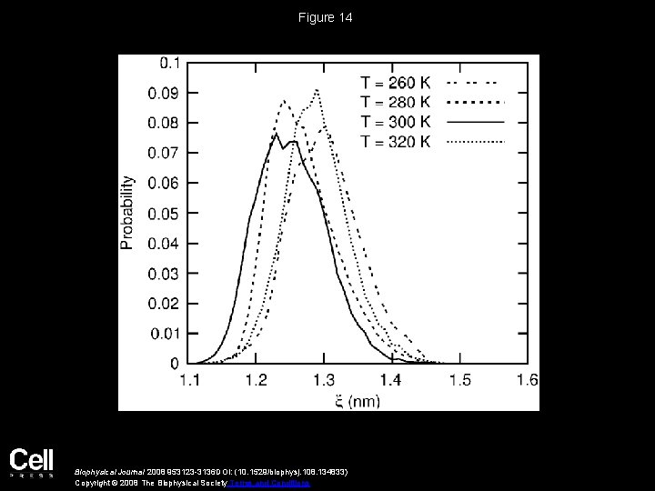 Figure 14 Biophysical Journal 2008 953123 -3136 DOI: (10. 1529/biophysj. 108. 134833) Copyright ©