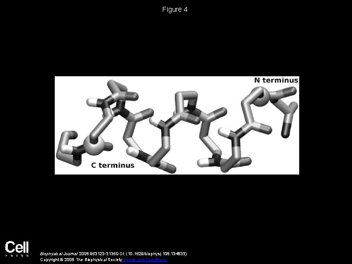 Figure 4 Biophysical Journal 2008 953123 -3136 DOI: (10. 1529/biophysj. 108. 134833) Copyright ©