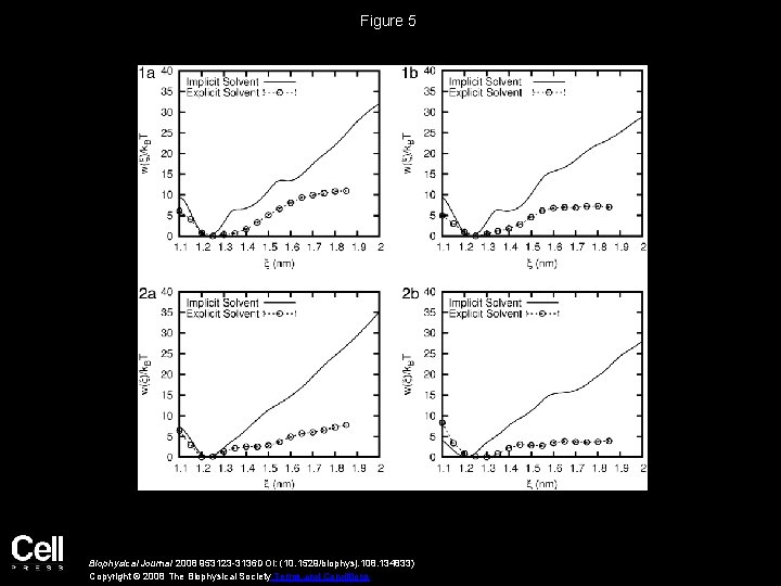 Figure 5 Biophysical Journal 2008 953123 -3136 DOI: (10. 1529/biophysj. 108. 134833) Copyright ©