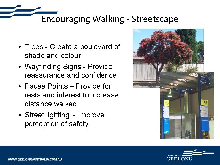 Encouraging Walking - Streetscape • Trees - Create a boulevard of shade and colour
