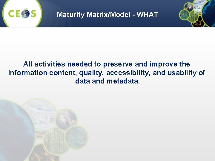 Maturity Matrix/Model - WHAT All activities needed to preserve and improve the information content,