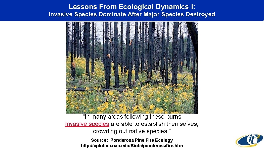 Lessons From Ecological Dynamics I: Invasive Species Dominate After Major Species Destroyed ”In many