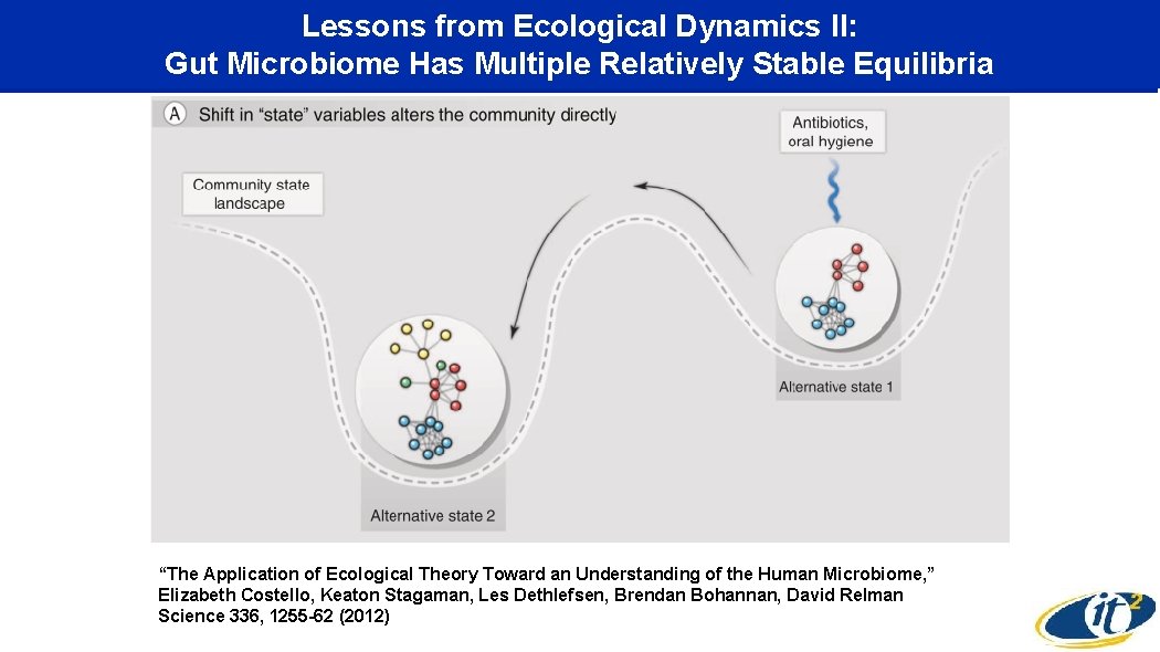 Lessons from Ecological Dynamics II: Gut Microbiome Has Multiple Relatively Stable Equilibria “The Application