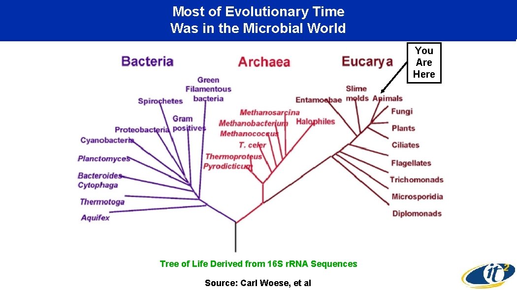 Most of Evolutionary Time Was in the Microbial World You Are Here Tree of