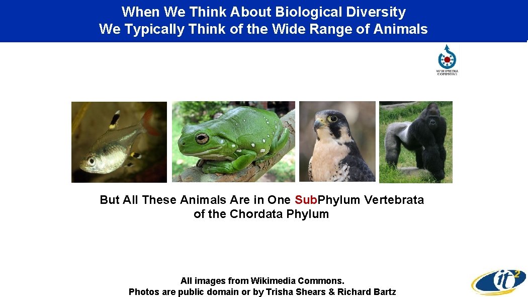 When We Think About Biological Diversity We Typically Think of the Wide Range of