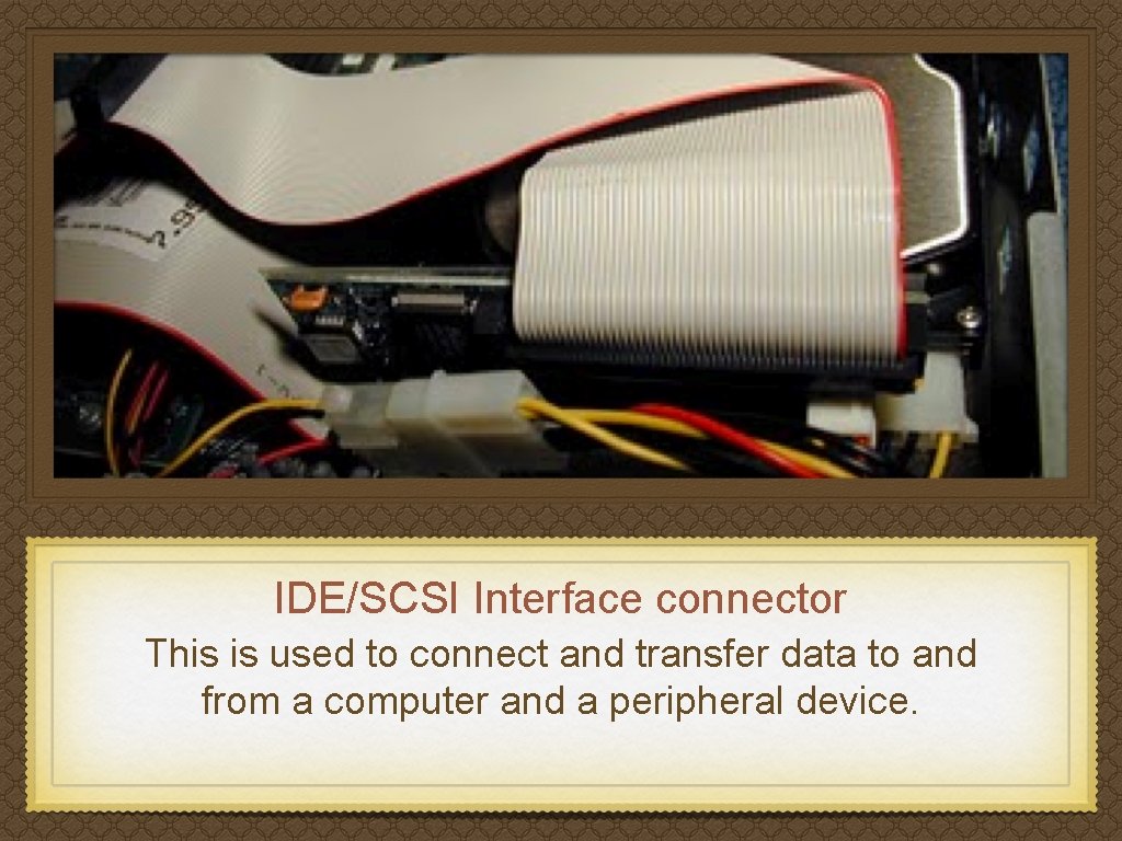 IDE/SCSI Interface connector This is used to connect and transfer data to and from