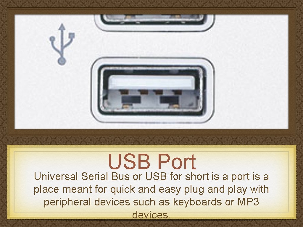 USB Port Universal Serial Bus or USB for short is a place meant for