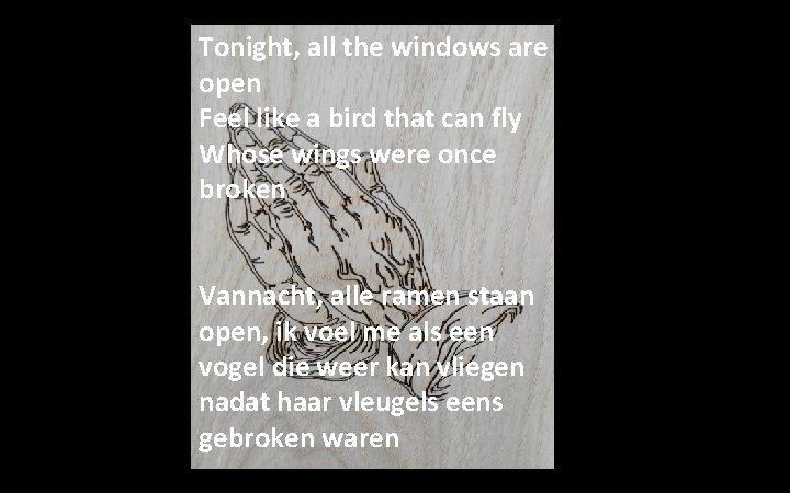 Tonight, all the windows are open Feel like a bird that can fly Whose