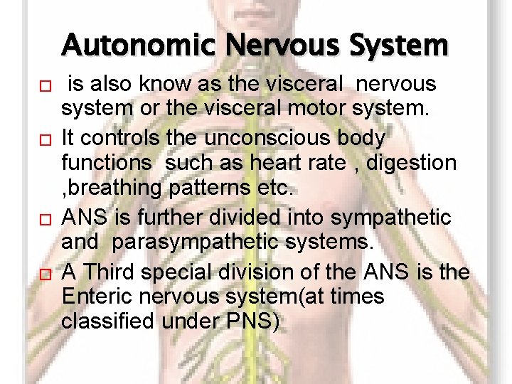 Autonomic Nervous System � � is also know as the visceral nervous system or
