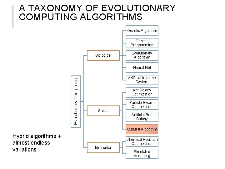 A TAXONOMY OF EVOLUTIONARY COMPUTING ALGORITHMS Genetic Algorithm Genetic Programming Biological Evolutionary Algorithm Evolutionary