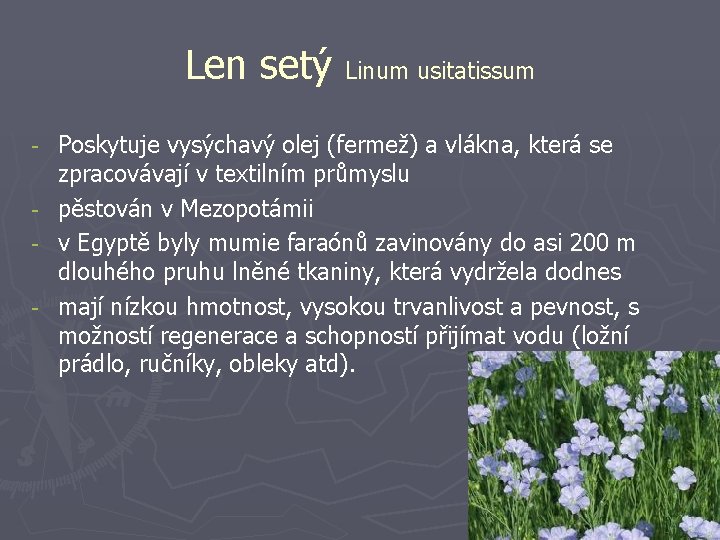 Len setý Linum usitatissum - Poskytuje vysýchavý olej (fermež) a vlákna, která se zpracovávají