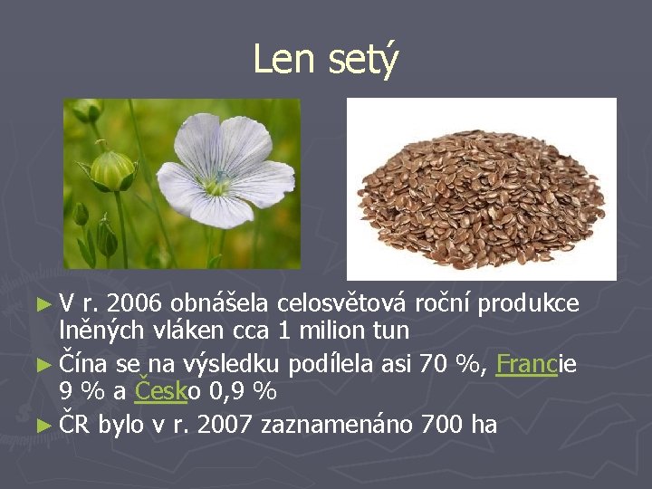 Len setý ►V r. 2006 obnášela celosvětová roční produkce lněných vláken cca 1 milion