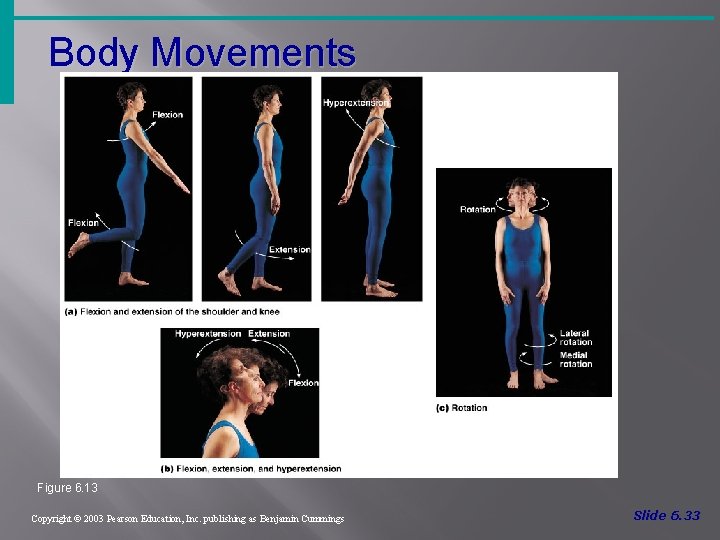 Body Movements Figure 6. 13 Copyright © 2003 Pearson Education, Inc. publishing as Benjamin