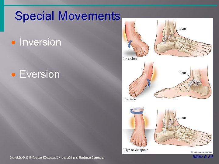 Special Movements · Inversion · Eversion Copyright © 2003 Pearson Education, Inc. publishing as