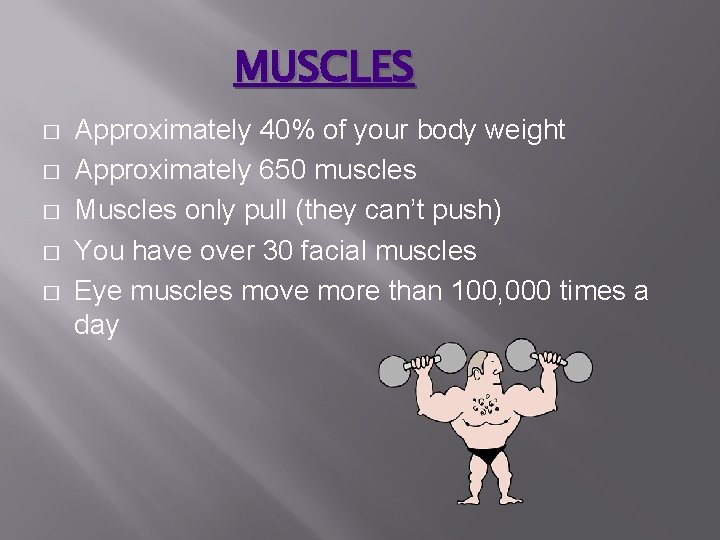 MUSCLES � � � Approximately 40% of your body weight Approximately 650 muscles Muscles