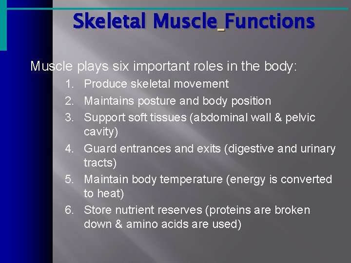 Skeletal Muscle Functions Muscle plays six important roles in the body: 1. Produce skeletal