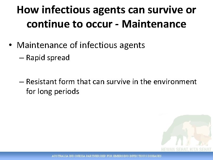 How infectious agents can survive or continue to occur - Maintenance • Maintenance of