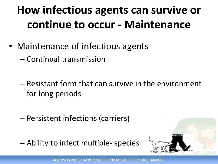 How infectious agents can survive or continue to occur - Maintenance • Maintenance of