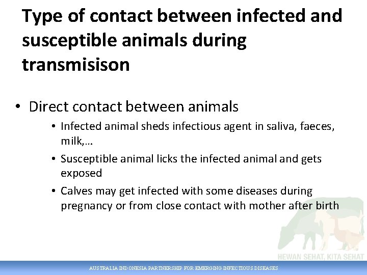 Type of contact between infected and susceptible animals during transmisison • Direct contact between