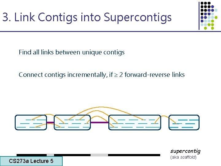 3. Link Contigs into Supercontigs Find all links between unique contigs Connect contigs incrementally,