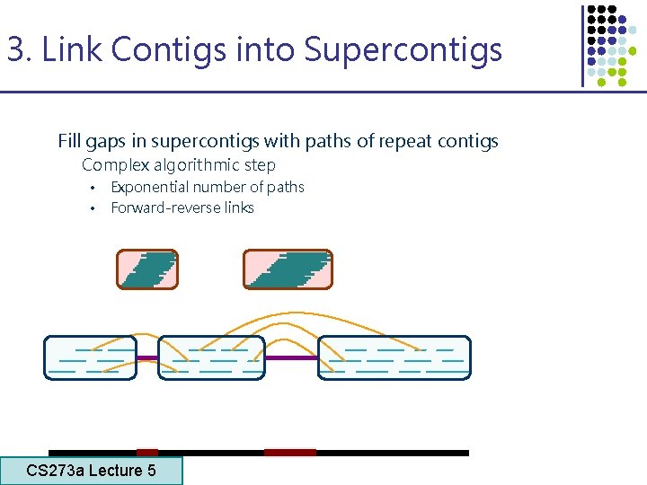 3. Link Contigs into Supercontigs Fill gaps in supercontigs with paths of repeat contigs