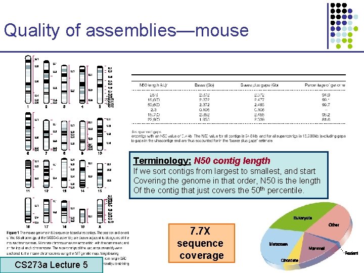 Quality of assemblies—mouse Terminology: N 50 contig length If we sort contigs from largest