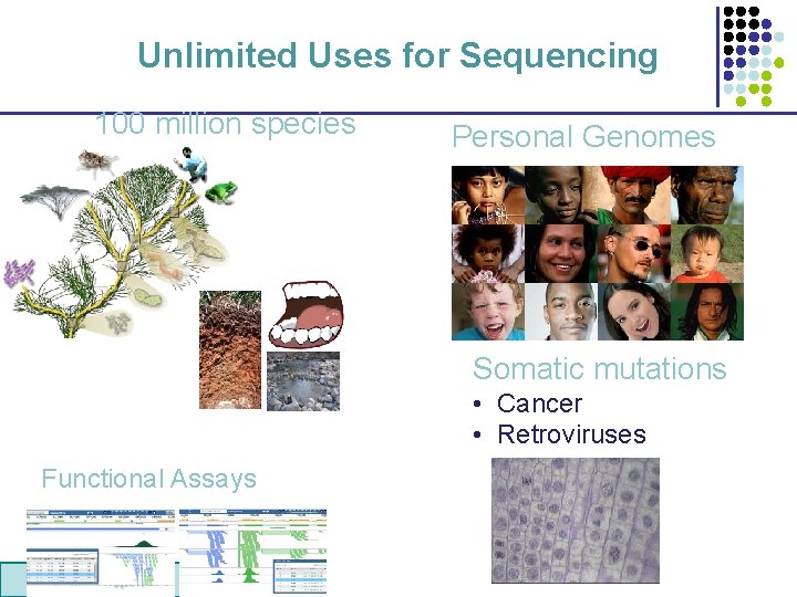 Unlimited Uses for Sequencing 100 million species Personal Genomes Somatic mutations • Cancer •