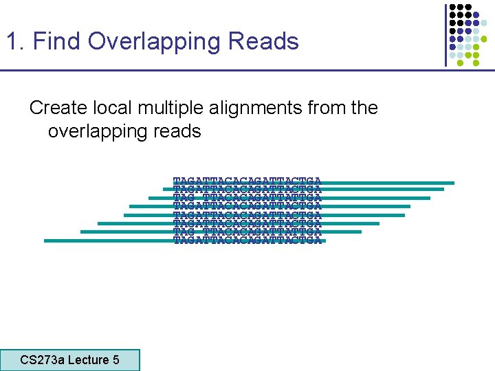 1. Find Overlapping Reads Create local multiple alignments from the overlapping reads TAGATTACACAGATTACTGA TAG